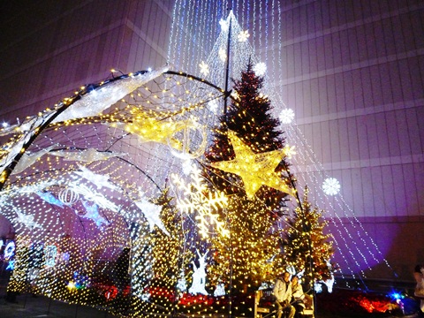 12�����̎ʐ^