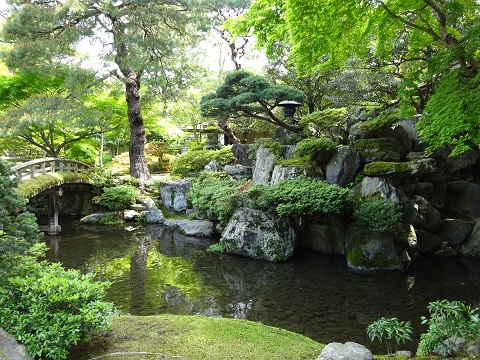 5月の写真
